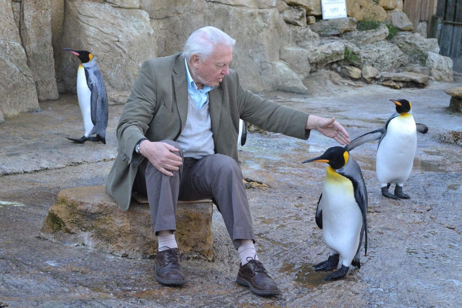 Océano David Attenborough