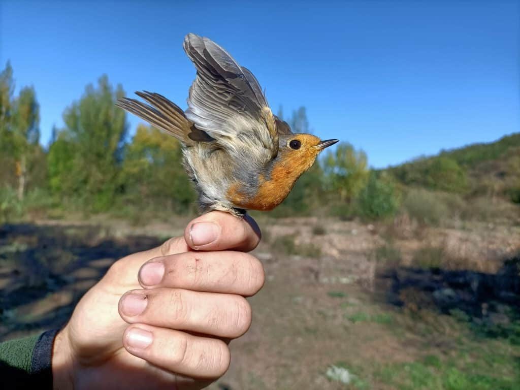 Semana Biodiversidad Santander