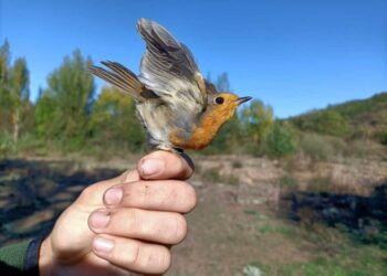 Semana Biodiversidad Santander