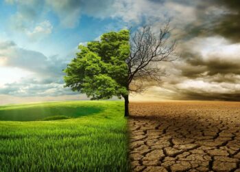 ‘palabras vacías’ para frenar el cambio climático