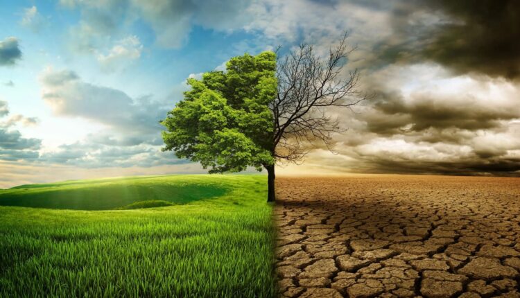 ‘palabras vacías’ para frenar el cambio climático