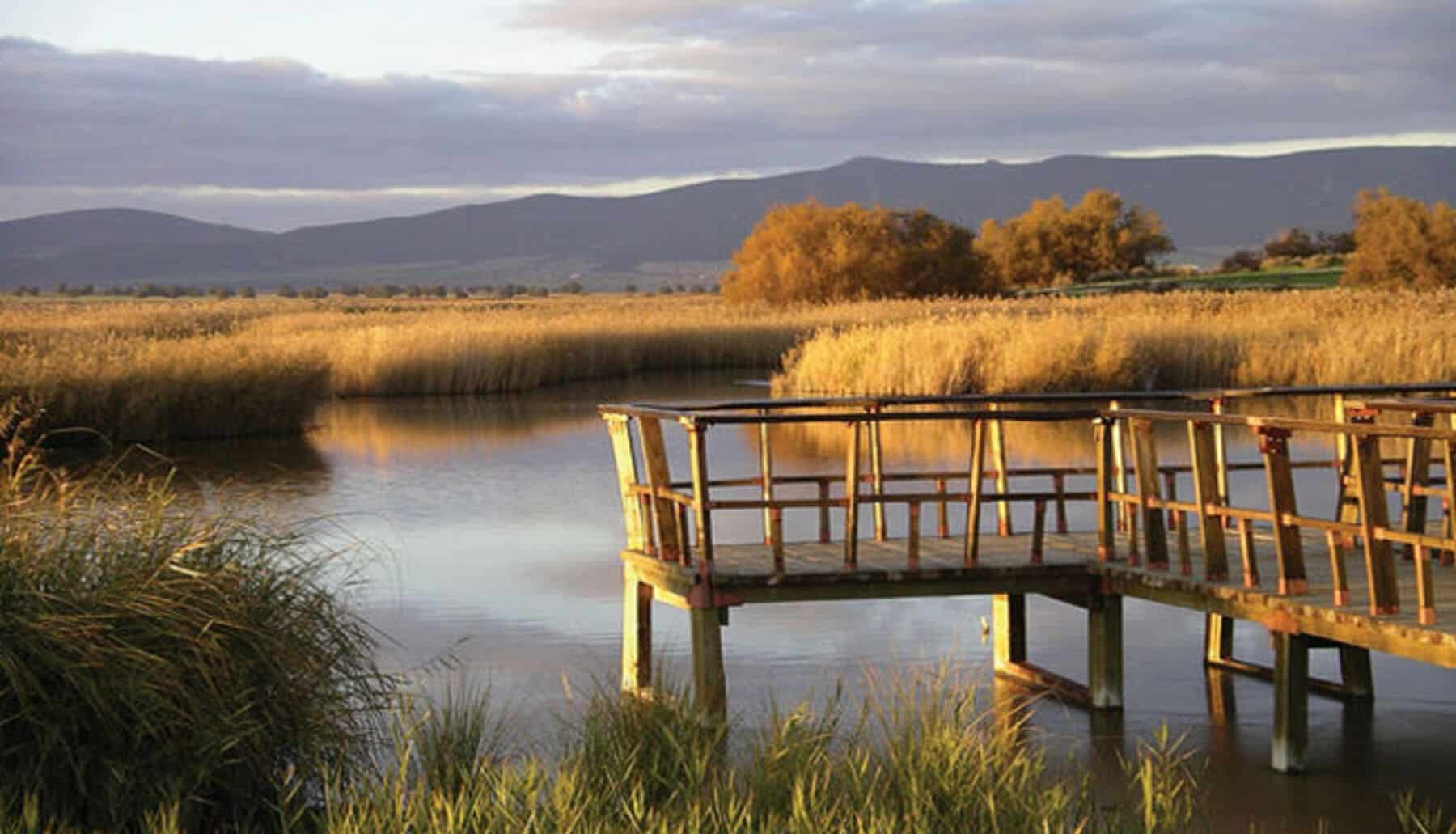 Tablas de Daimiel: un informe alerta del deterioro del humedal y plantea medidas de recuperación