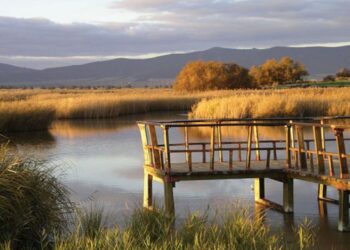 Tablas de Daimiel: un informe alerta del deterioro del humedal y plantea medidas de recuperación