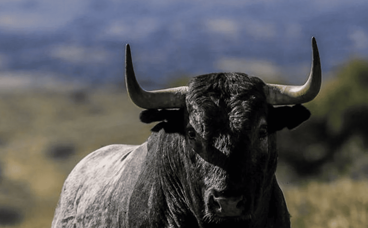 Tauromaquia niños horario escolar