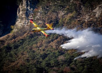 incendios forestales