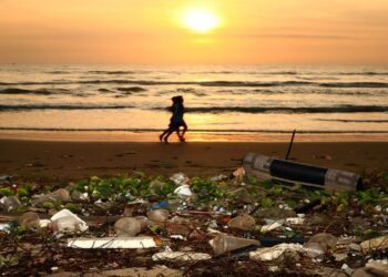 Todo lo que deberías saber sobre la contaminación por plásticos