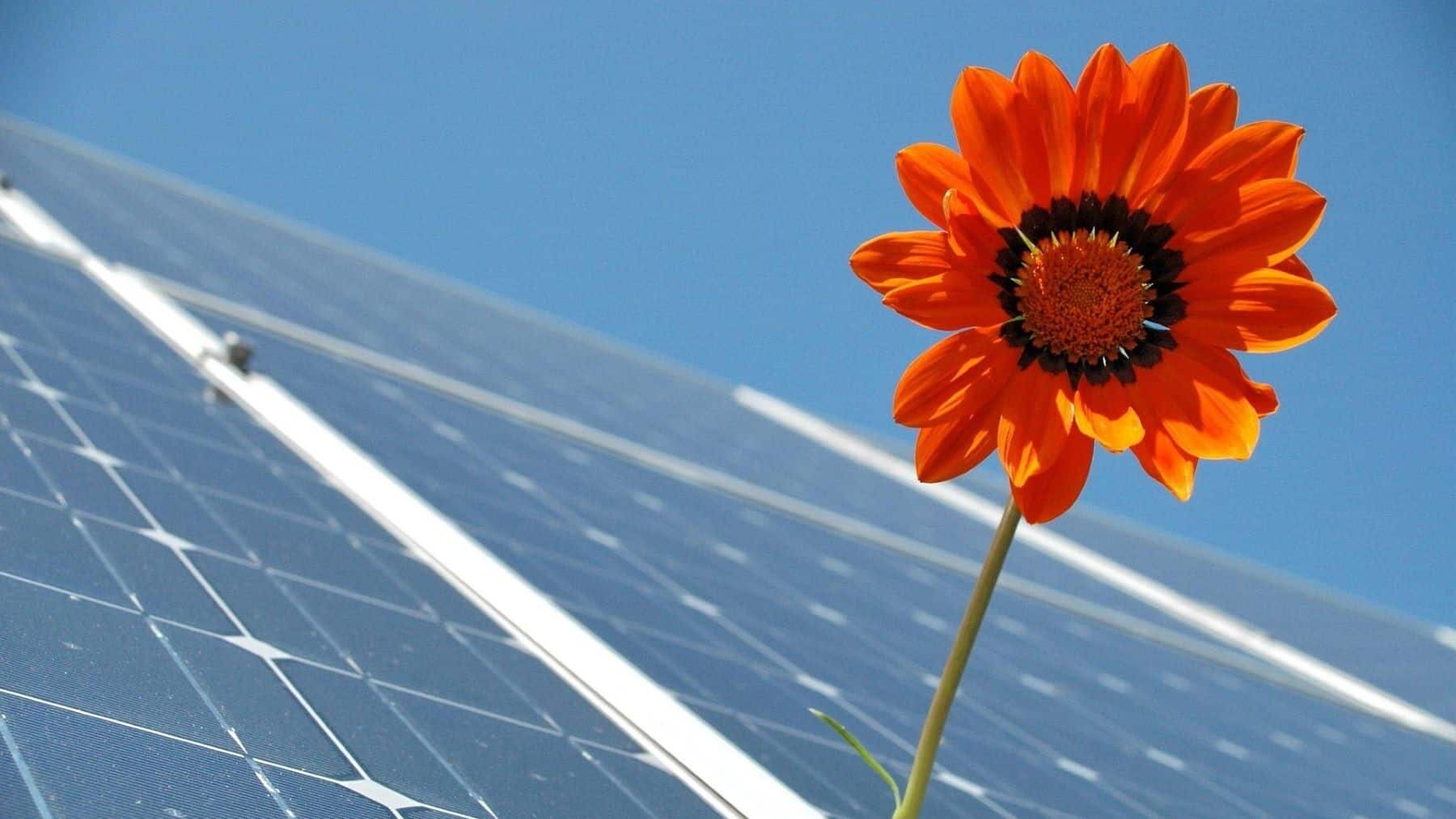 Valencia desarrollo renovables España 2024