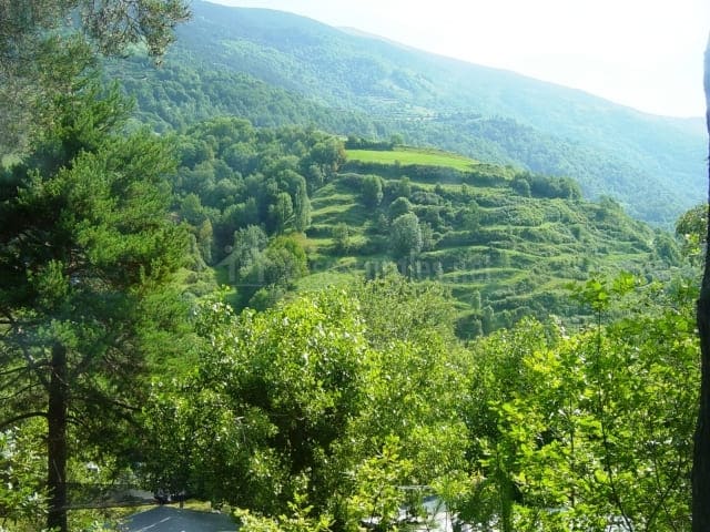 Vall de Ribes (Cataluña) hábitat especies amenazadas