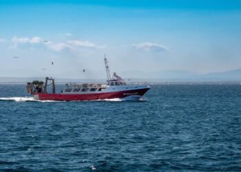 Gobierno Vasco pide más control y compromiso sostenible de las flotas pesqueras ante el descenso de especies en el Golfo de Vizcaya