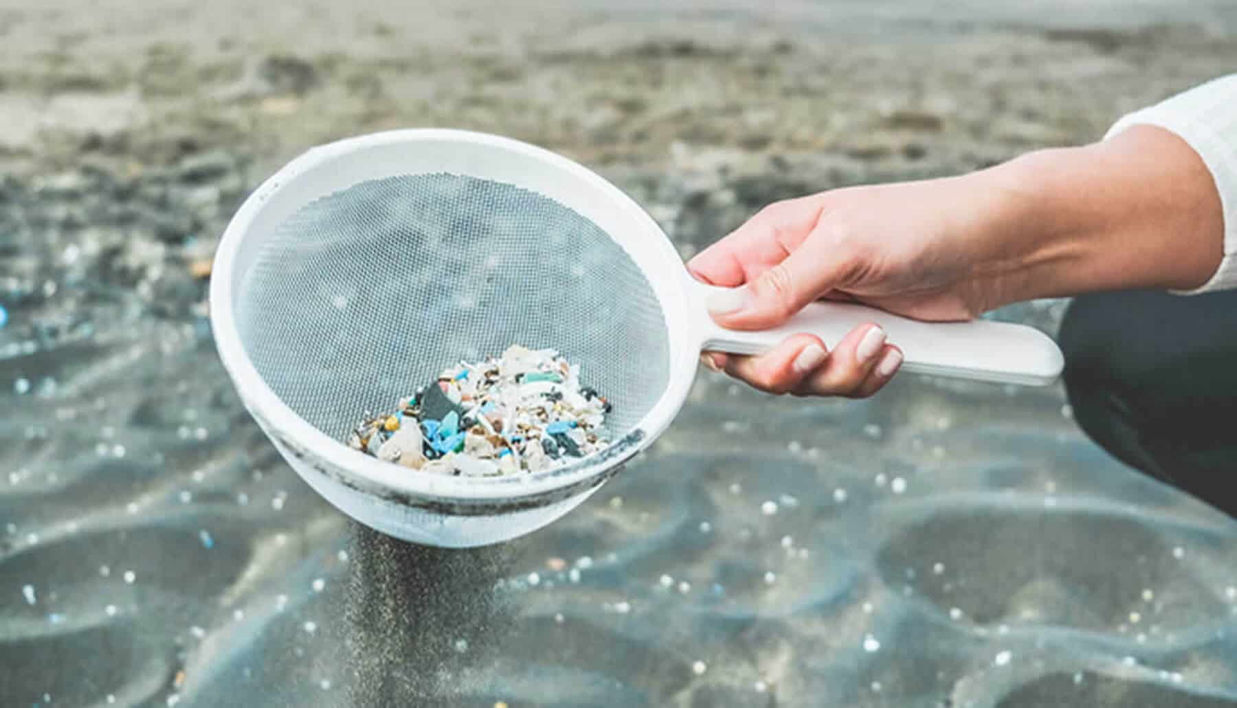 fosa marianas microplásticos