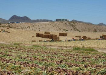 paneles solares