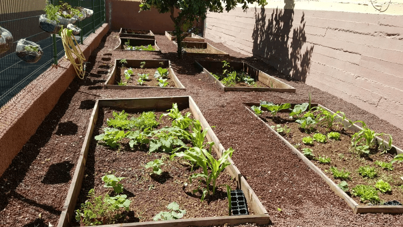 educación ambiental Huertos escolares