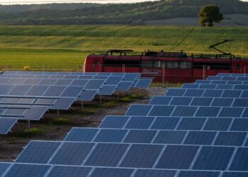 Agrivoltea primera plataforma online agrivoltaico