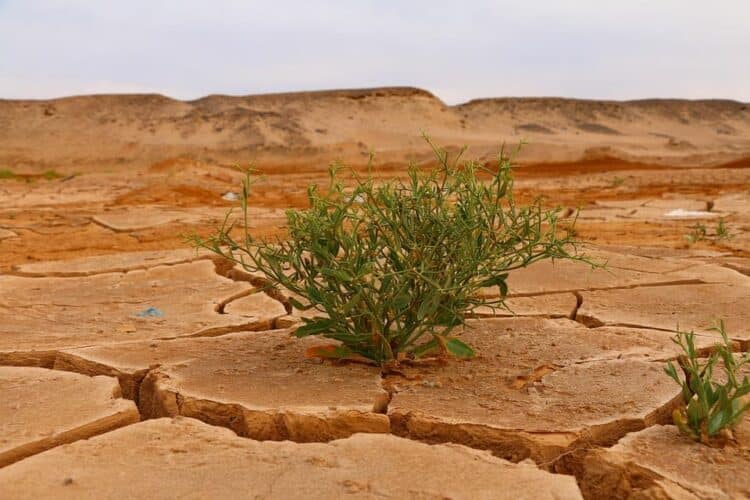 alianza clima nafarroa retroceso legislativo ley foral cambio climatico transicion energetica