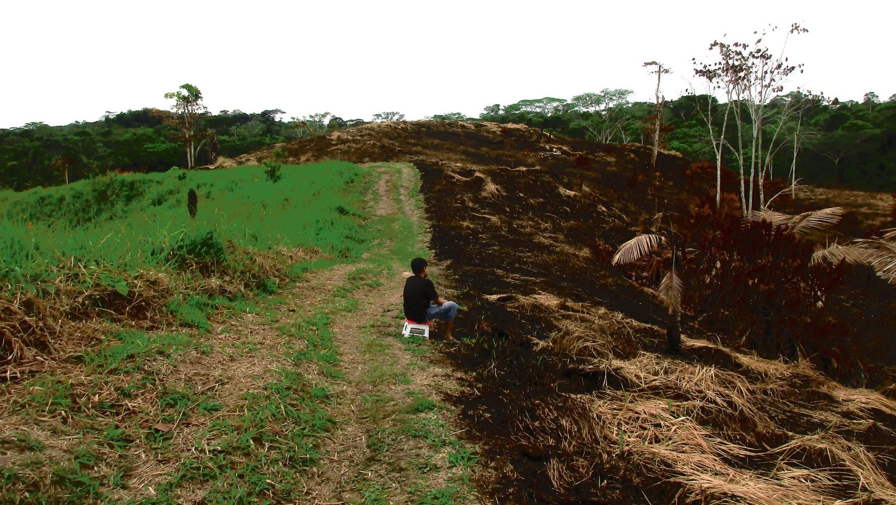 Amazonía Perú deforestación
