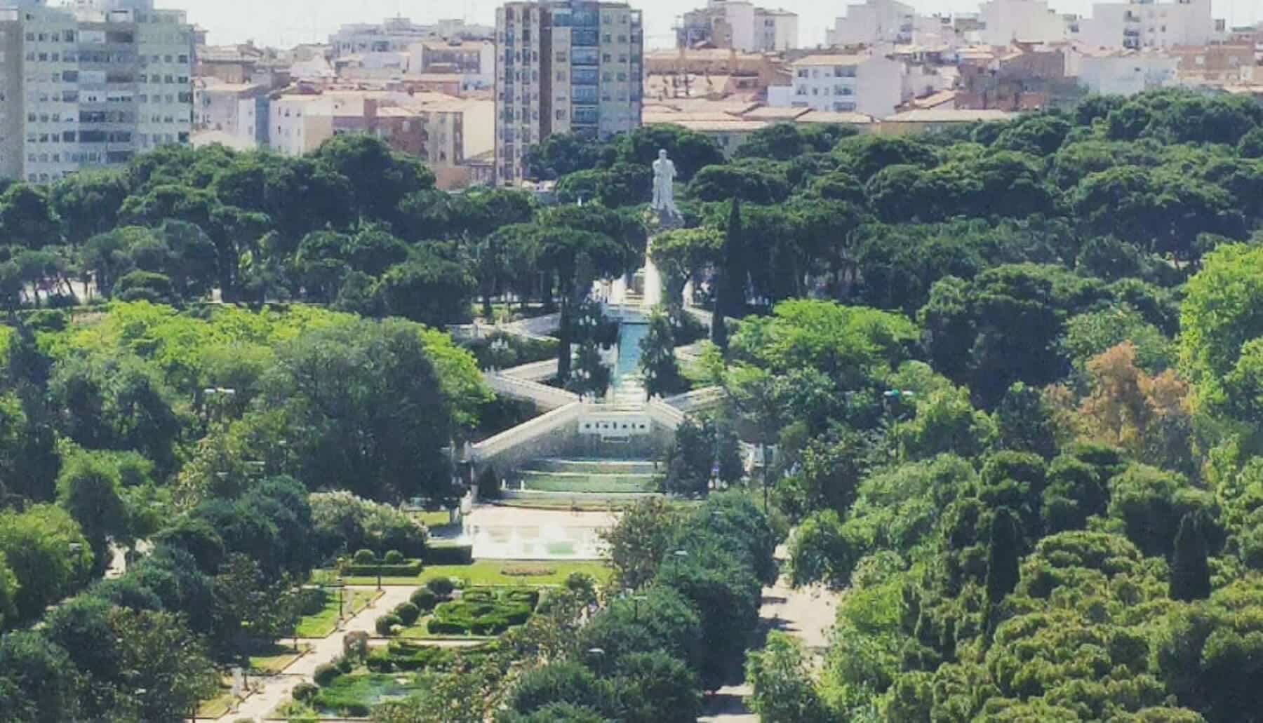 Arboricidio en el centro de Zaragoza