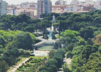 Arboricidio en el centro de Zaragoza
