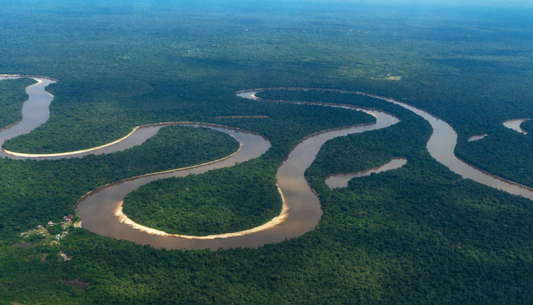 Banco Santander, BBVA y CaixaBank financian los combustibles fósiles y la deforestación en la Amazonia