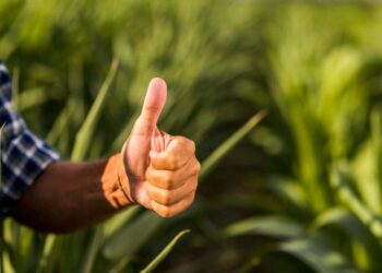 Bioinsumos mejorar cultivos América Latina