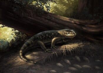 Bolg amondol lagarto monstersauro dinosaurios