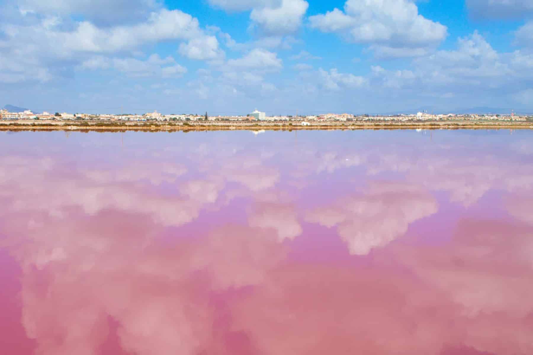 Cuidar las salinas es proteger la biodiversidad y luchar contra el ...