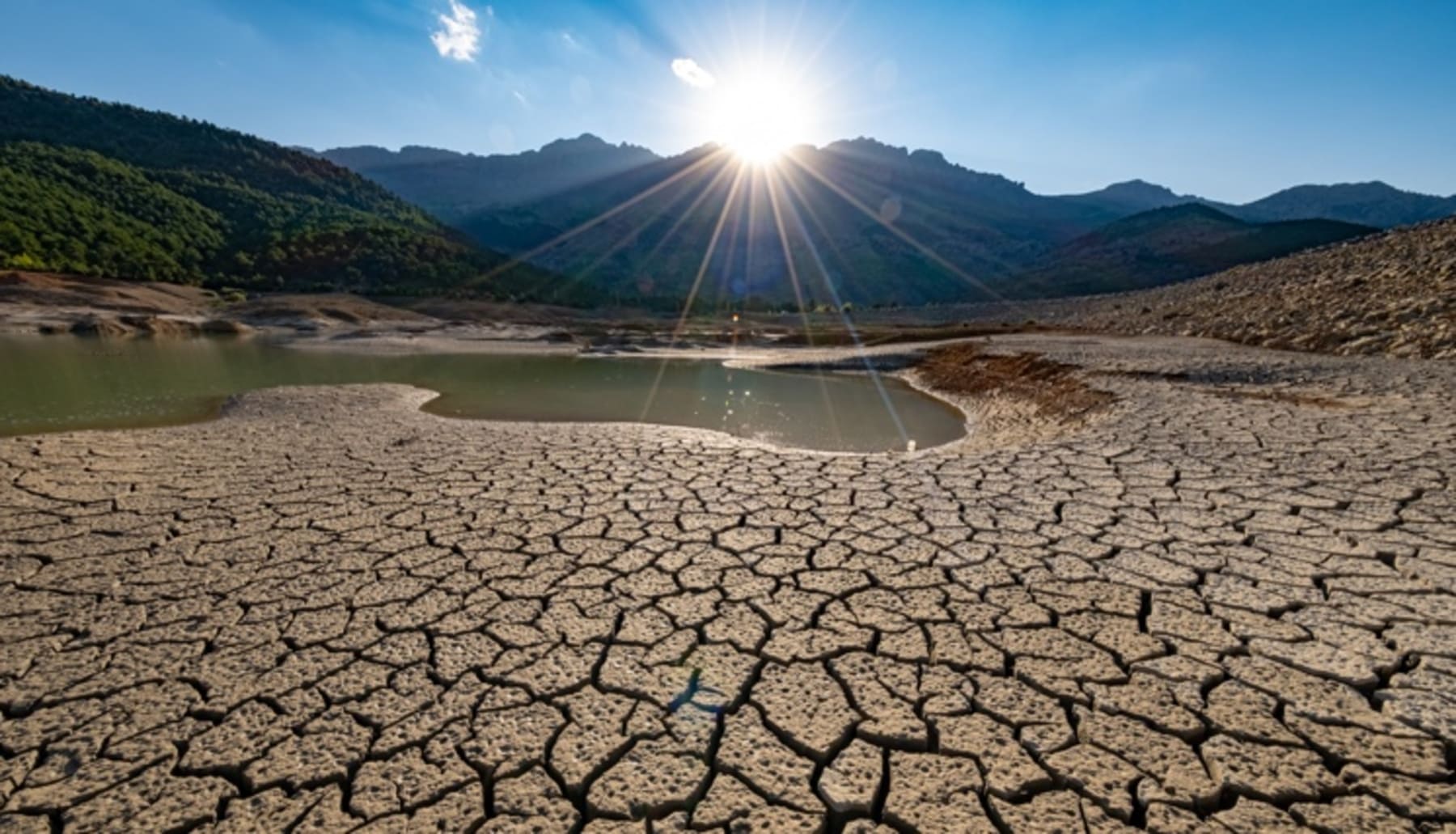 Día Internacional de la Lucha contra la Desertificación y la Sequía 2025 sobreexplotación del agua y cambio climático la ‘aceleran’