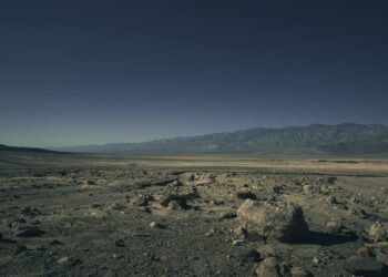 Día Mundial de Lucha contra la Desertificación y la Sequía 2025 las plantas que 'generan' agua en el desierto