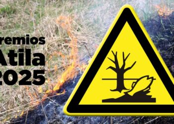 Día Mundial Medio Ambiente premios Atila