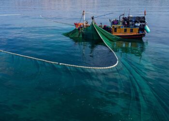Día Mundial Océanos insostenible pesca industrial
