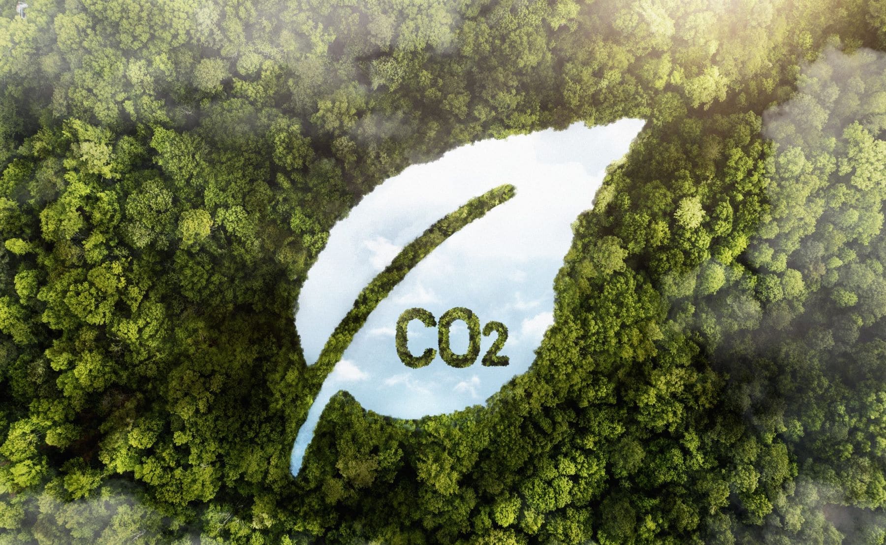 Ecoener CO2 Gold Standard
