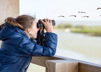 El observatorio pionero en Castril (Granada) que busca fomentar el turismo ornitológico