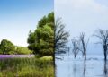 LIFE NAdapta soluciones adaptación Navarra cambio climático