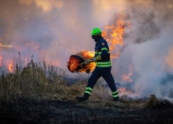España incendios forestales 2025