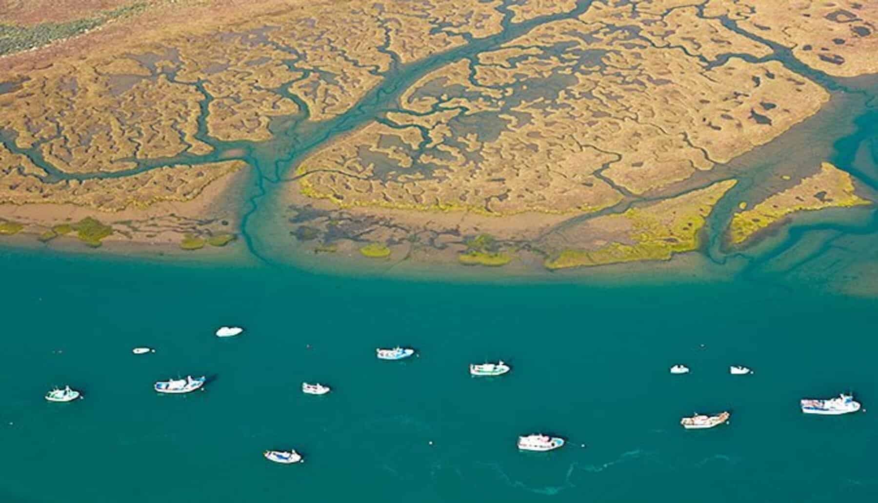 Huelva se postula como ‘Puerta Verde’ del Atlántico