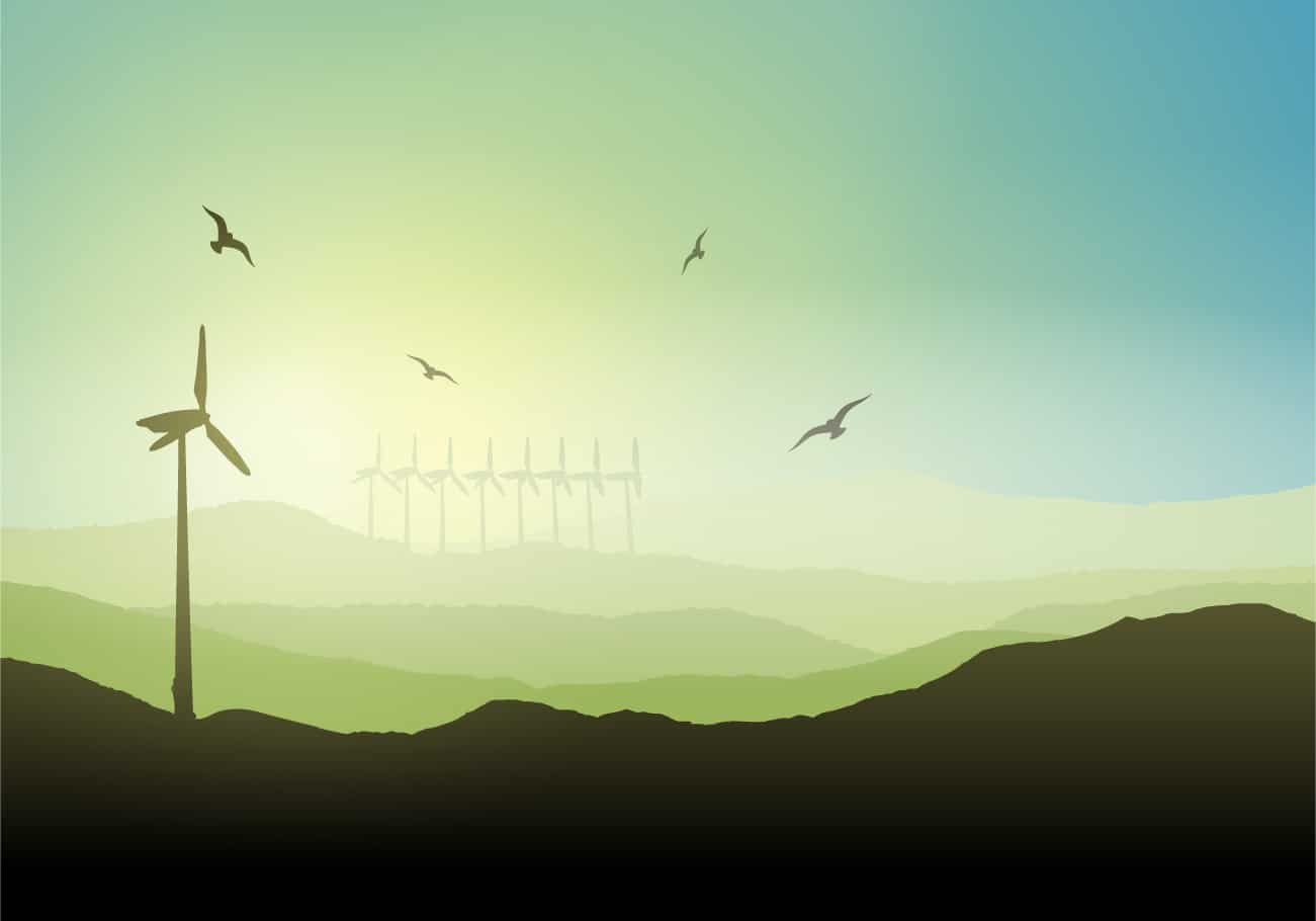 IdentiFlight protegerá aves parques eólicos chilenos