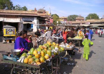 India ránking mundial residuos