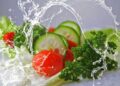 Comunitat Valenciana transición inviable sistema actual a MODELO ALIMENTARIO SOSTENIBLE