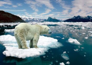 La conciencia y la ciencia son las mejores armas para luchar contra el cambio climático