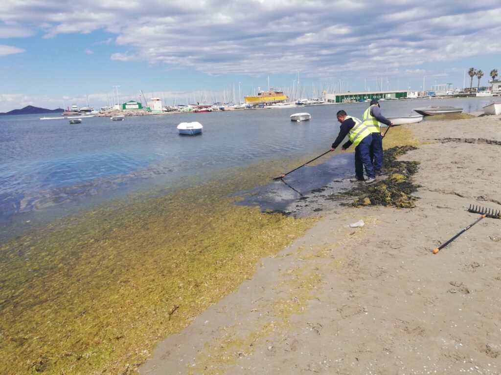 ova retirada Mar Menor mejora fertilidad