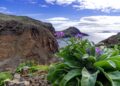 convenio protección medio marino Nordeste Atlántico Canarias Madeira blindarlas