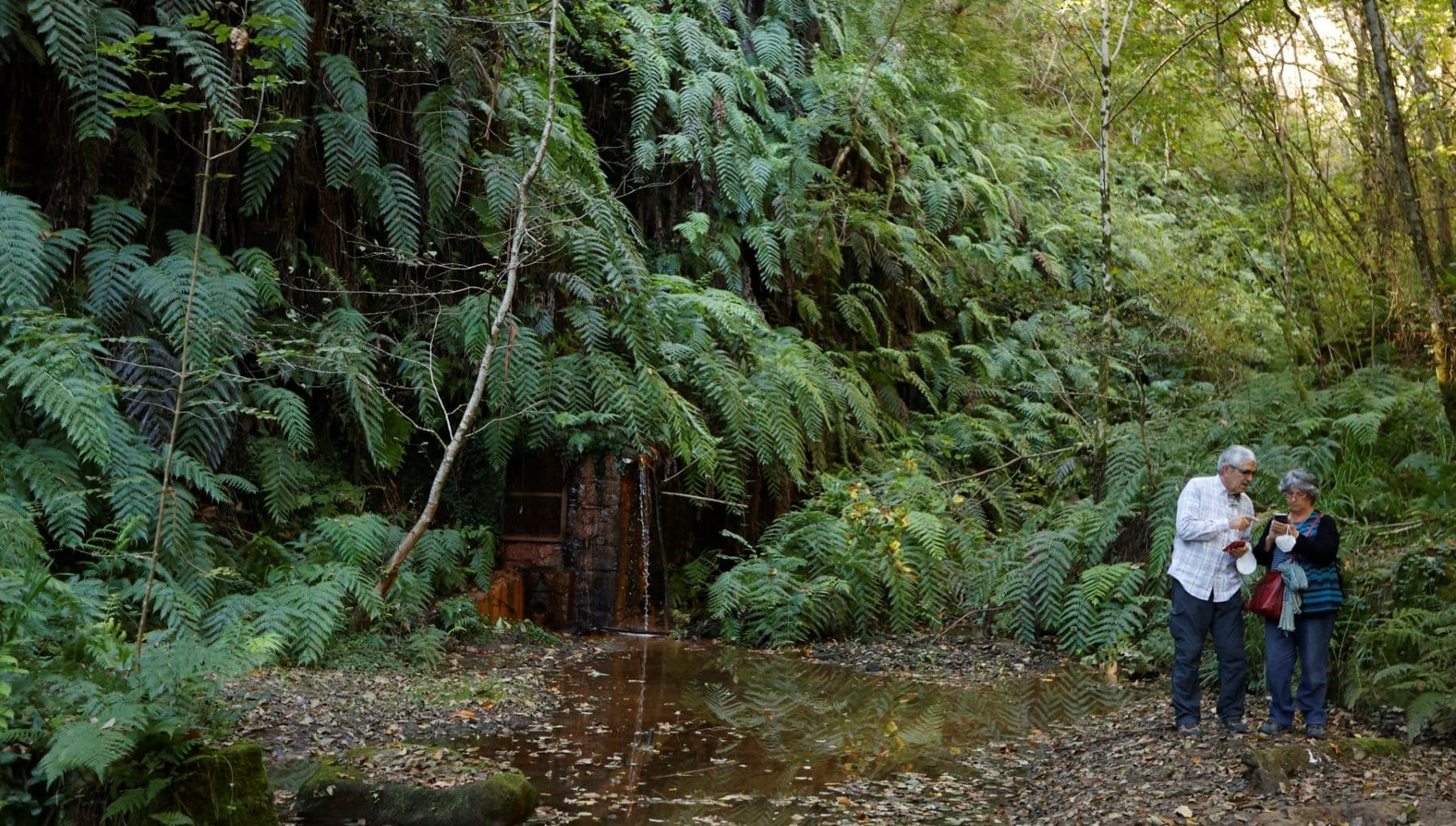 Life Urbaso agua Urdaibai Bizkaia
