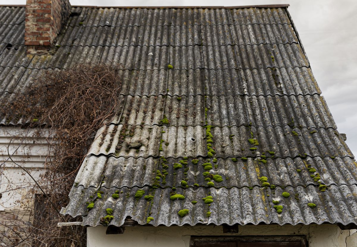 amianto satélite IA