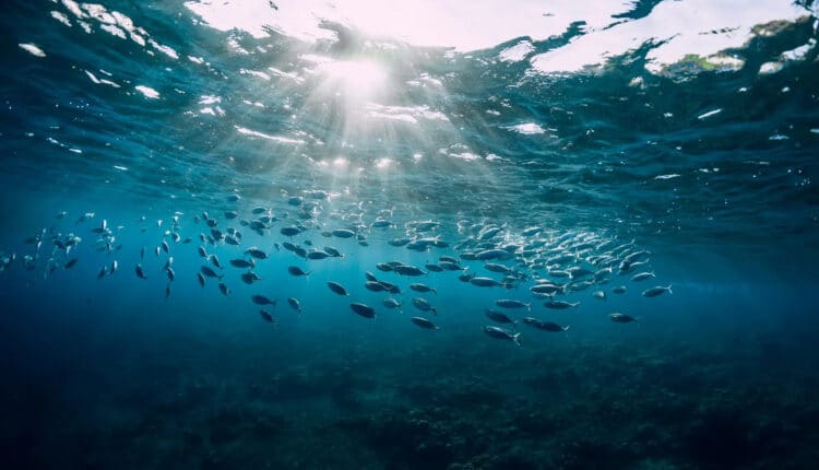 Los 5 desafíos ‘clave’ sobre el medio ambiente y en definitiva del Planeta