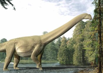 dinosaurios saurópodos tragaban