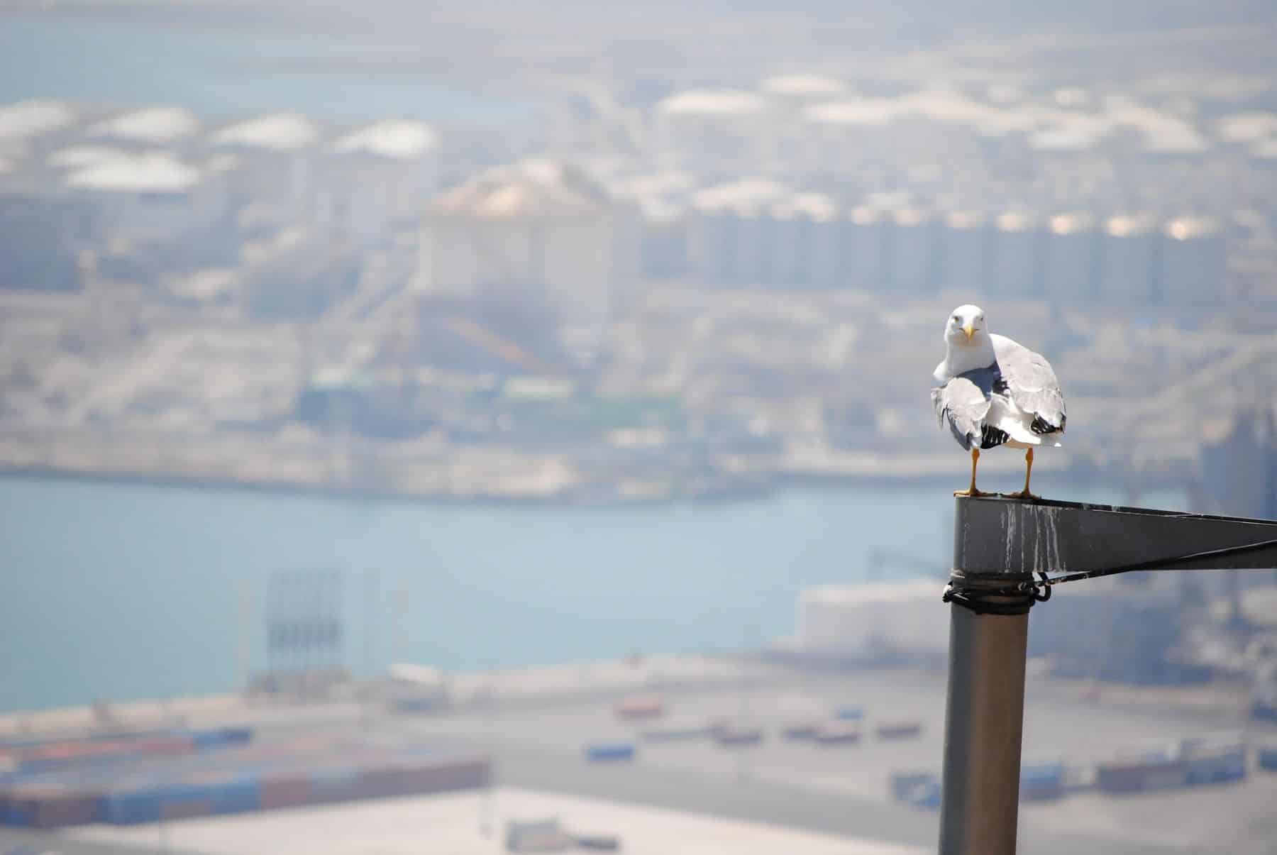 ecologistas Cataluña disminución GEI