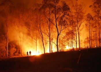 Los incendios forestales en España han experimentado un notable descenso en lo que va de año con respecto a hace una década