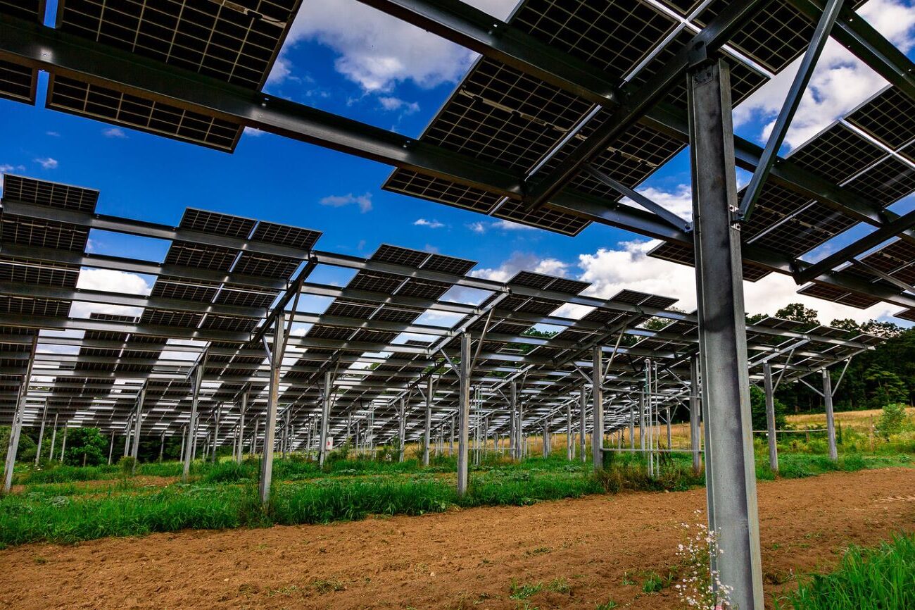 paneles solares segunda vida agrivoltaicos