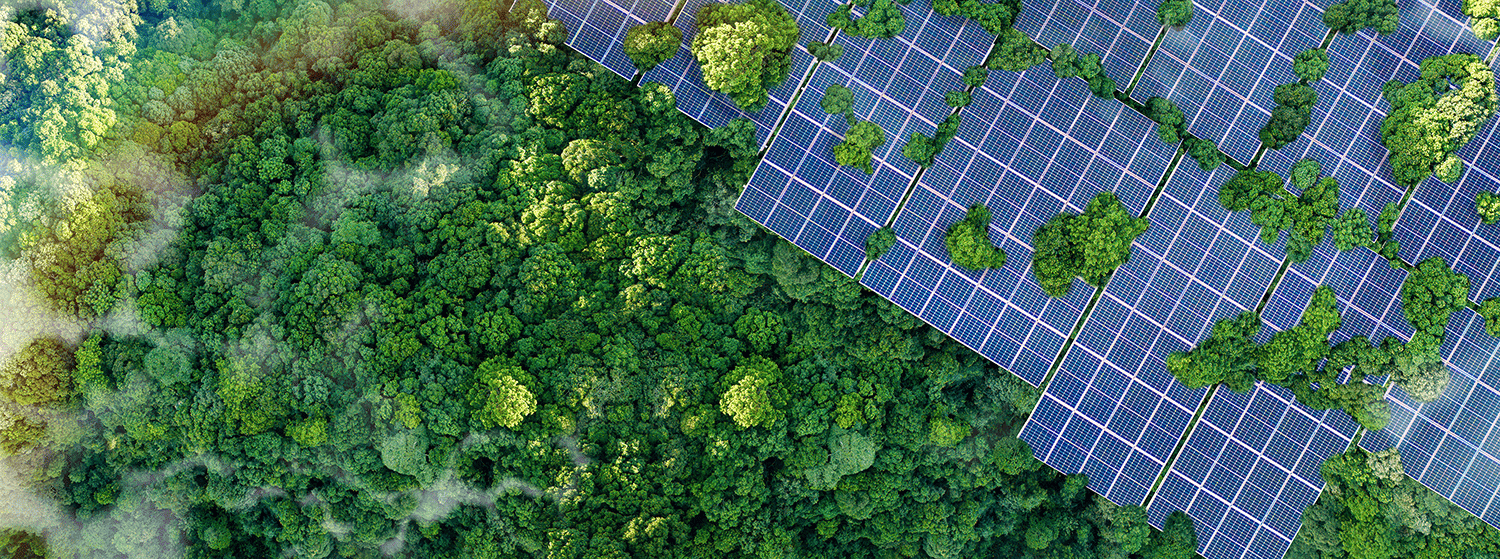 IQS máster Economía Circular enfoque integrador ciencia empresa