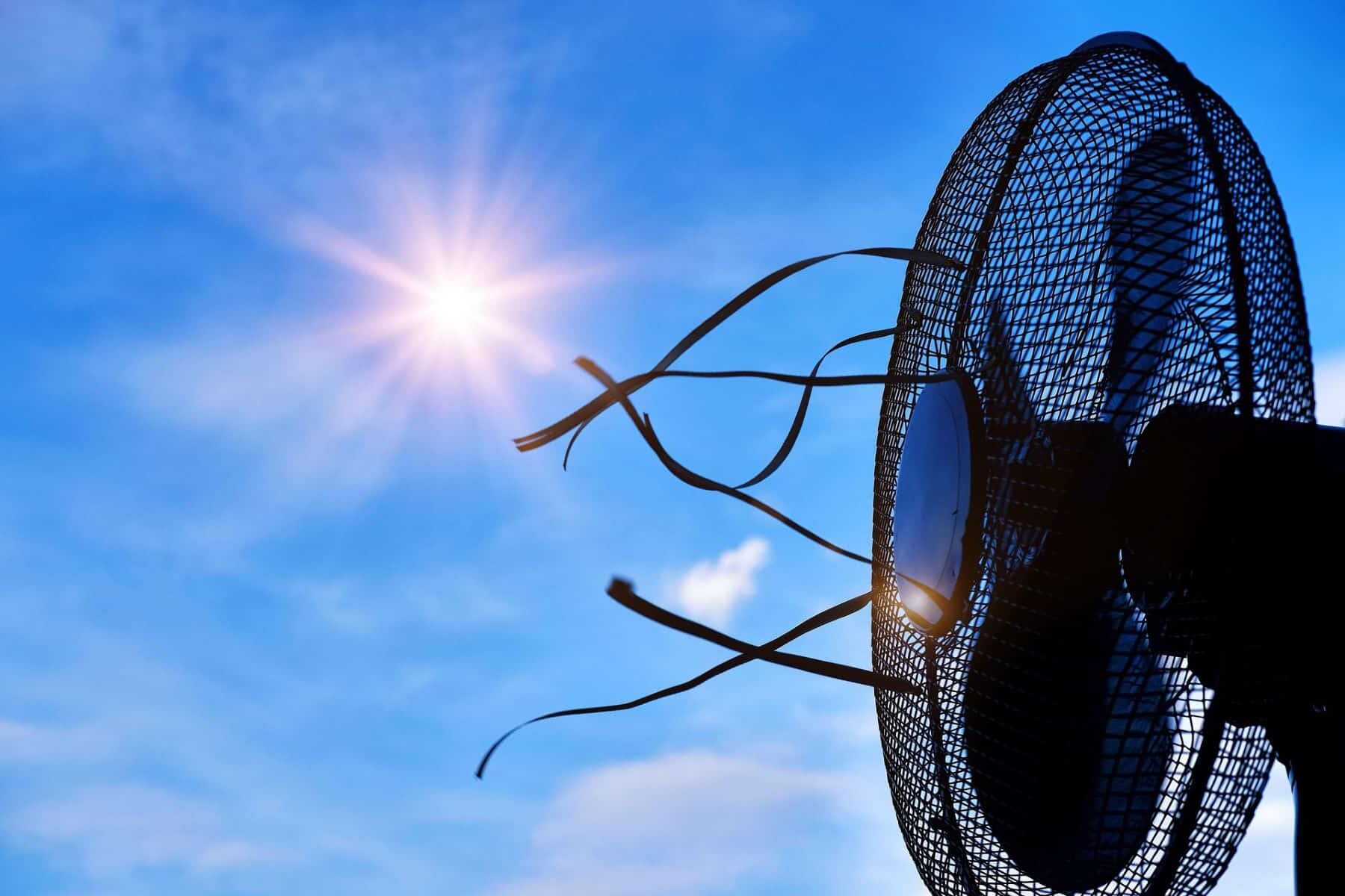 Mayo récords temperatura Copernicus