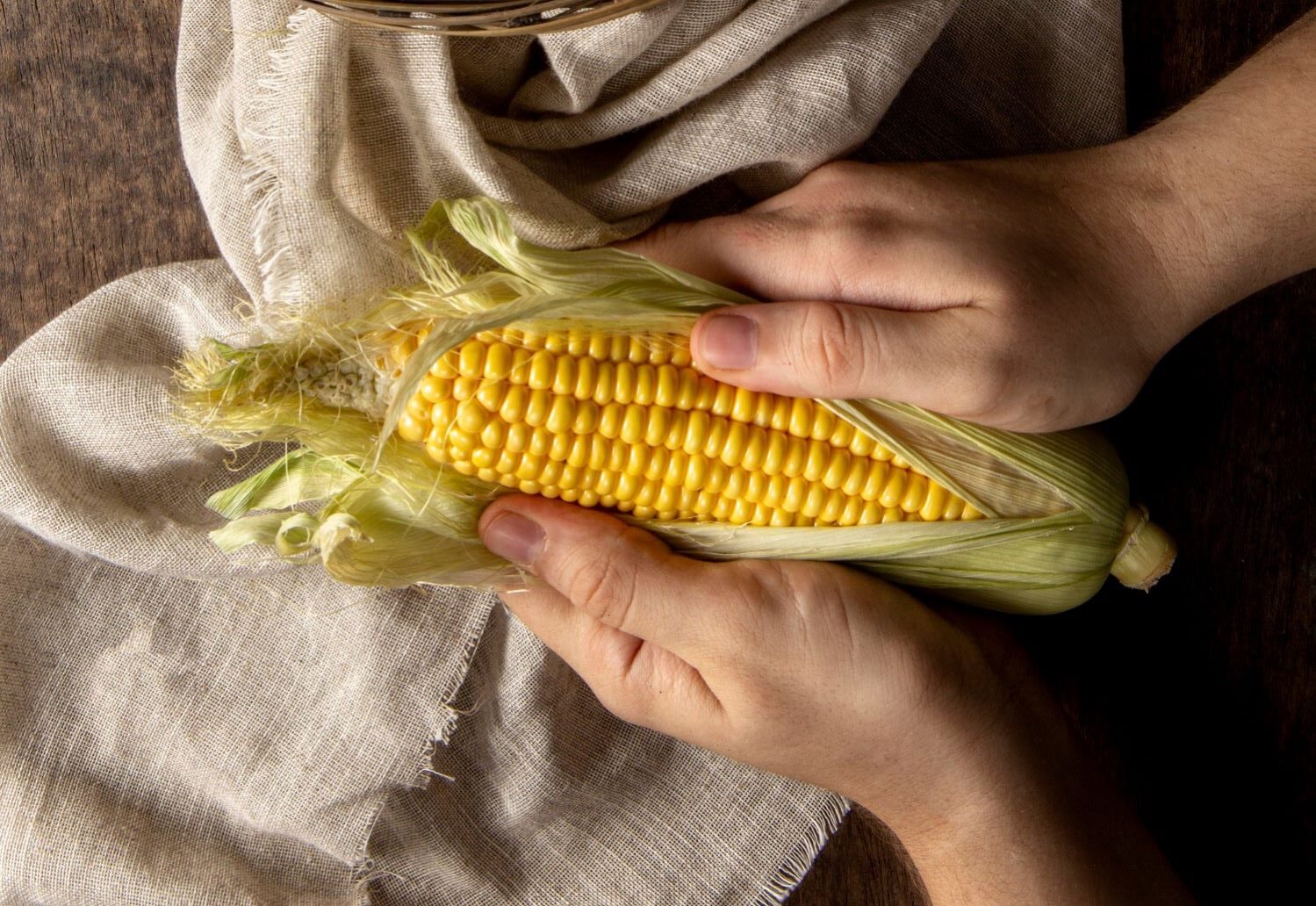 Mercosur derechos sociales medio ambiente soberanía alimentaria